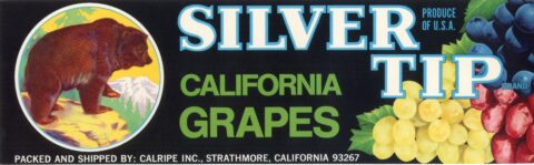 Silver Tip